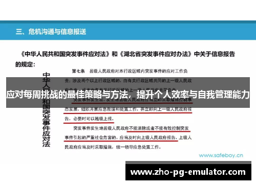 应对每周挑战的最佳策略与方法，提升个人效率与自我管理能力