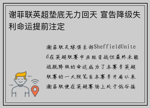 谢菲联英超垫底无力回天 宣告降级失利命运提前注定